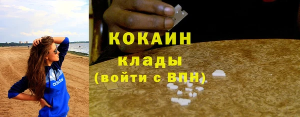 дмт Абаза