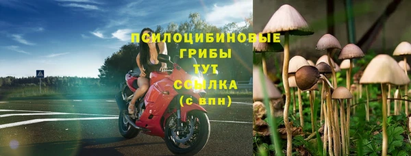 мескалин Алексин