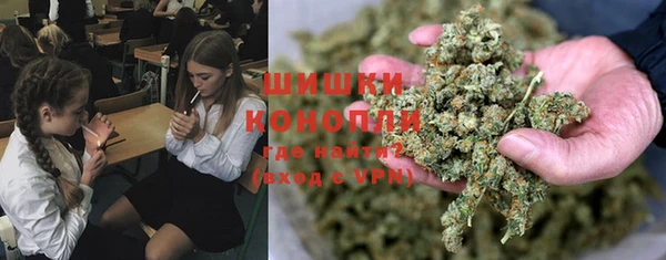 крисы Абдулино