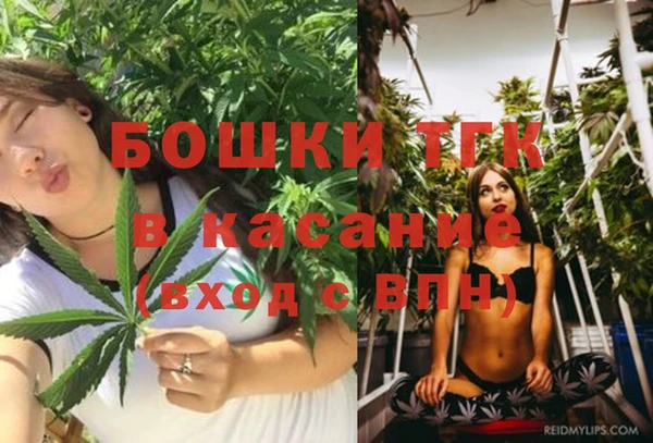 дмт Абаза
