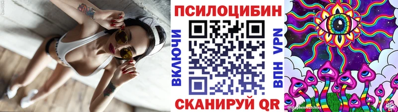 купить наркотики сайты  Алексин  Галлюциногенные грибы Cubensis 