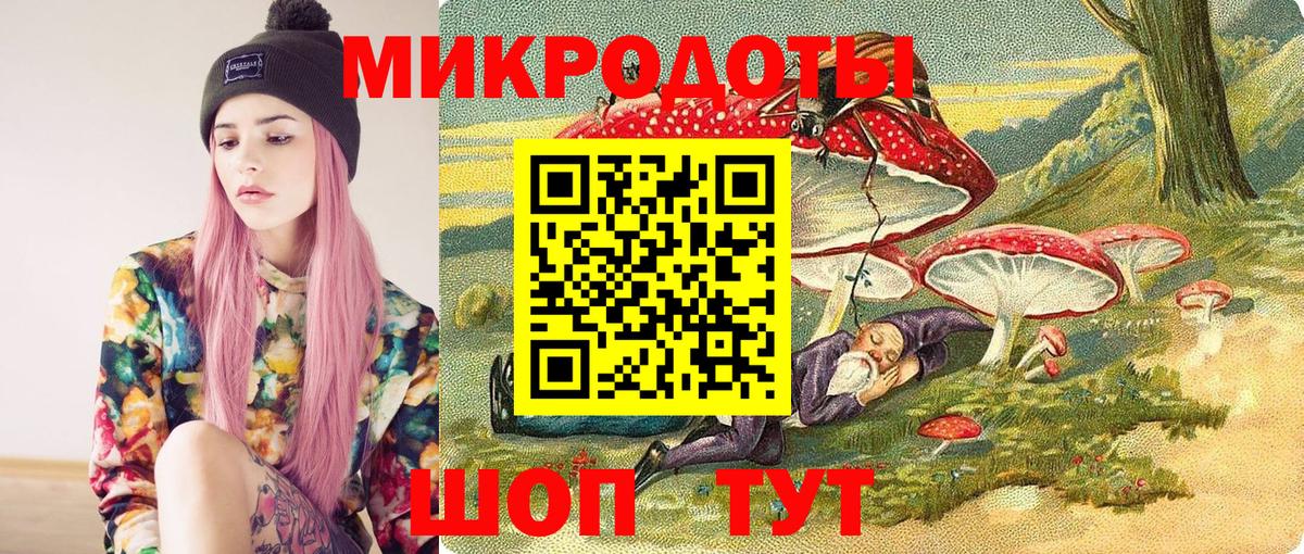 Псилоцибиновые грибы Psilocybe Алексин