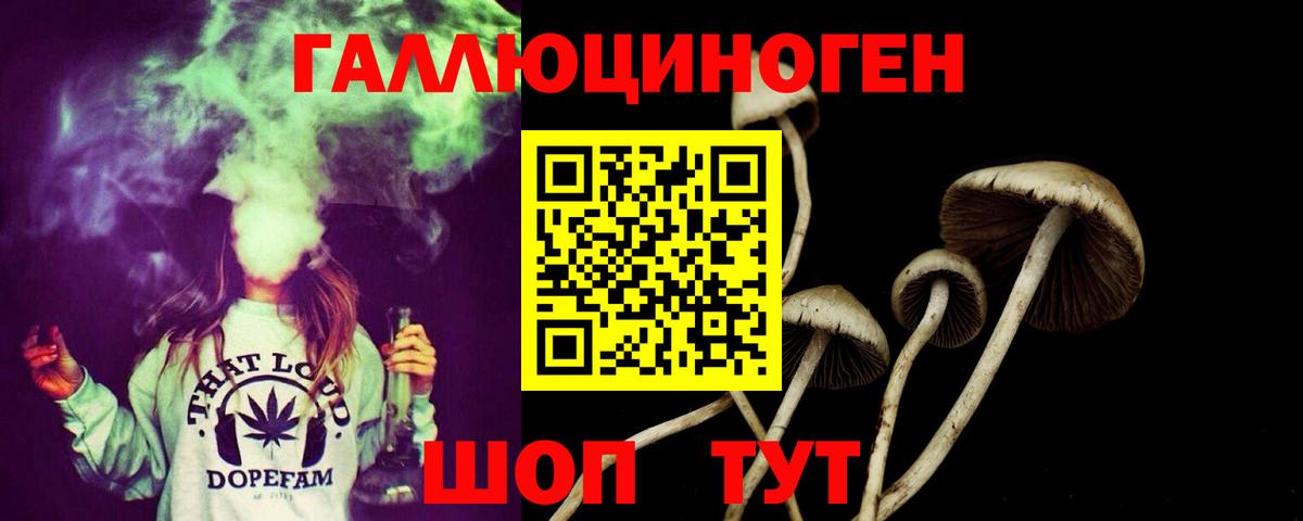 Псилоцибиновые грибы Magic Shrooms  Вход с VPN  Псилоцибиновые грибы Magic Shrooms  где найти наркотики  Алексин 